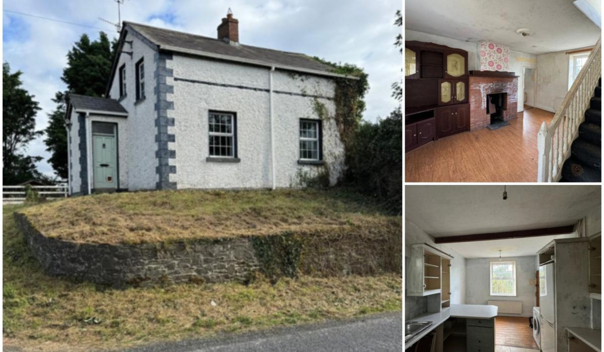 PICTURES Louth cottage with RTE Cheap Irish Homes potential for sale