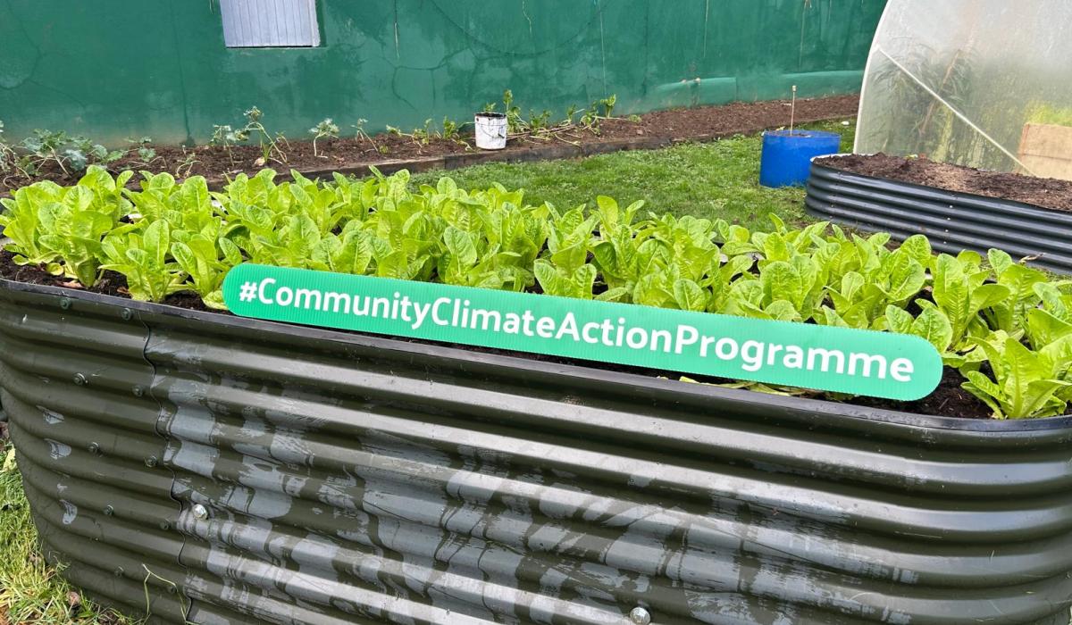 Over €600k for climate action projects in Louth