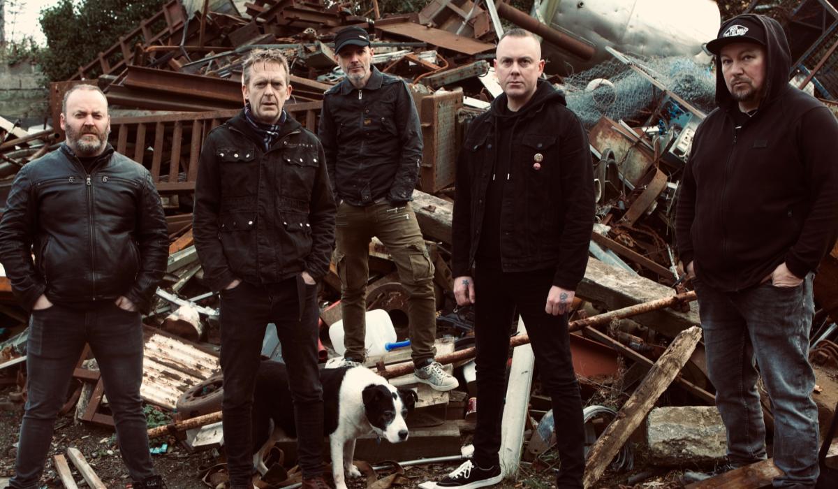 Live music, comedy and a Halloween party all happening in Dundalk's Toales this week