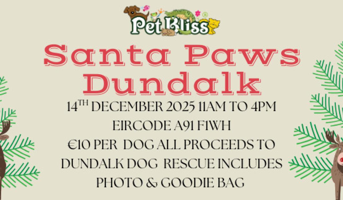 Santa Paws is coming to Dundalk