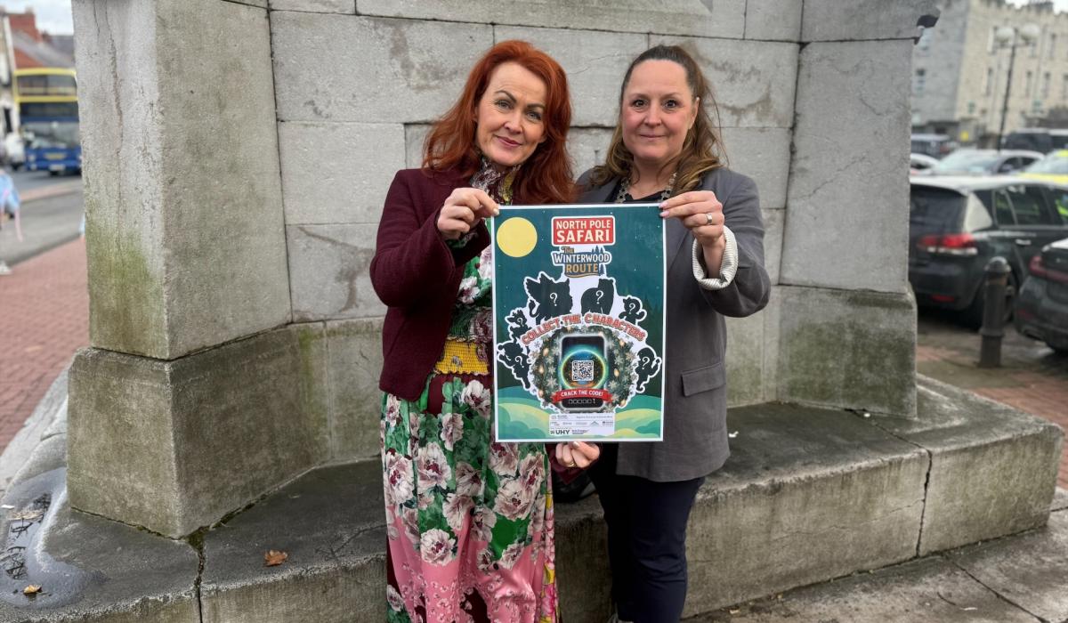 Win €1,000 in Shop Local vouchers in Dundalk Chamber's North Pole Safari trail