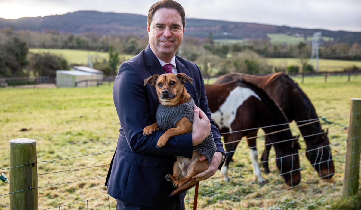 Over €130k for Louth animal welfare charities