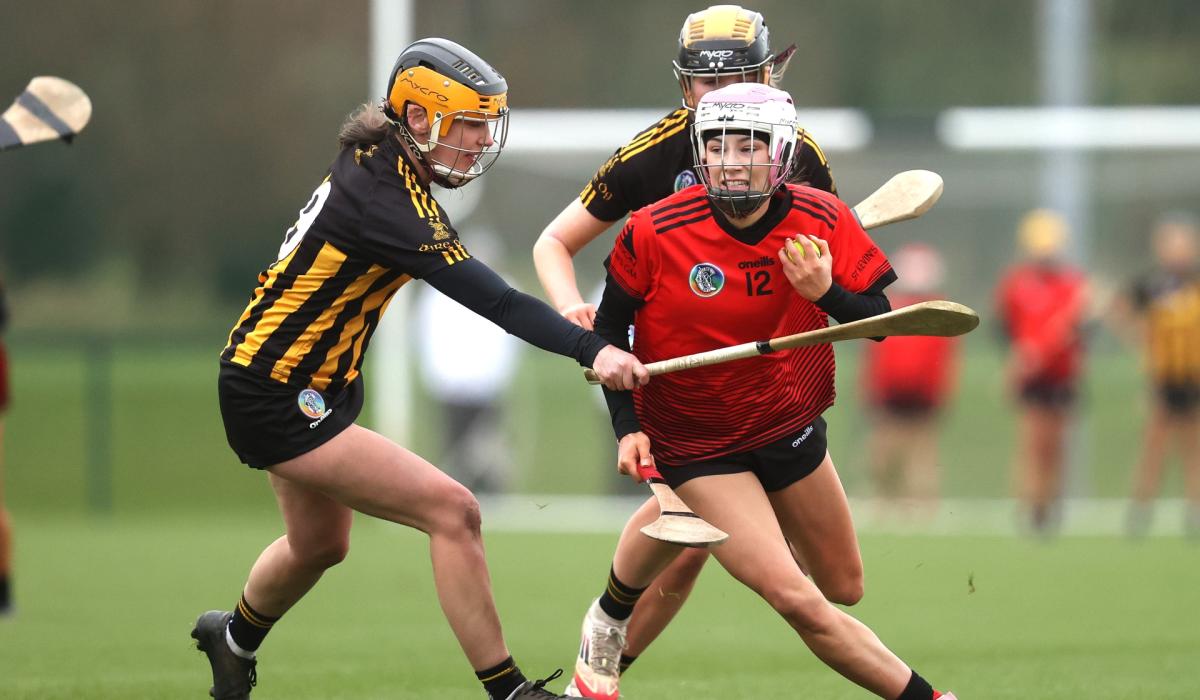 Heartbreak for Louth champions St. Kevins in All-Ireland camogie final