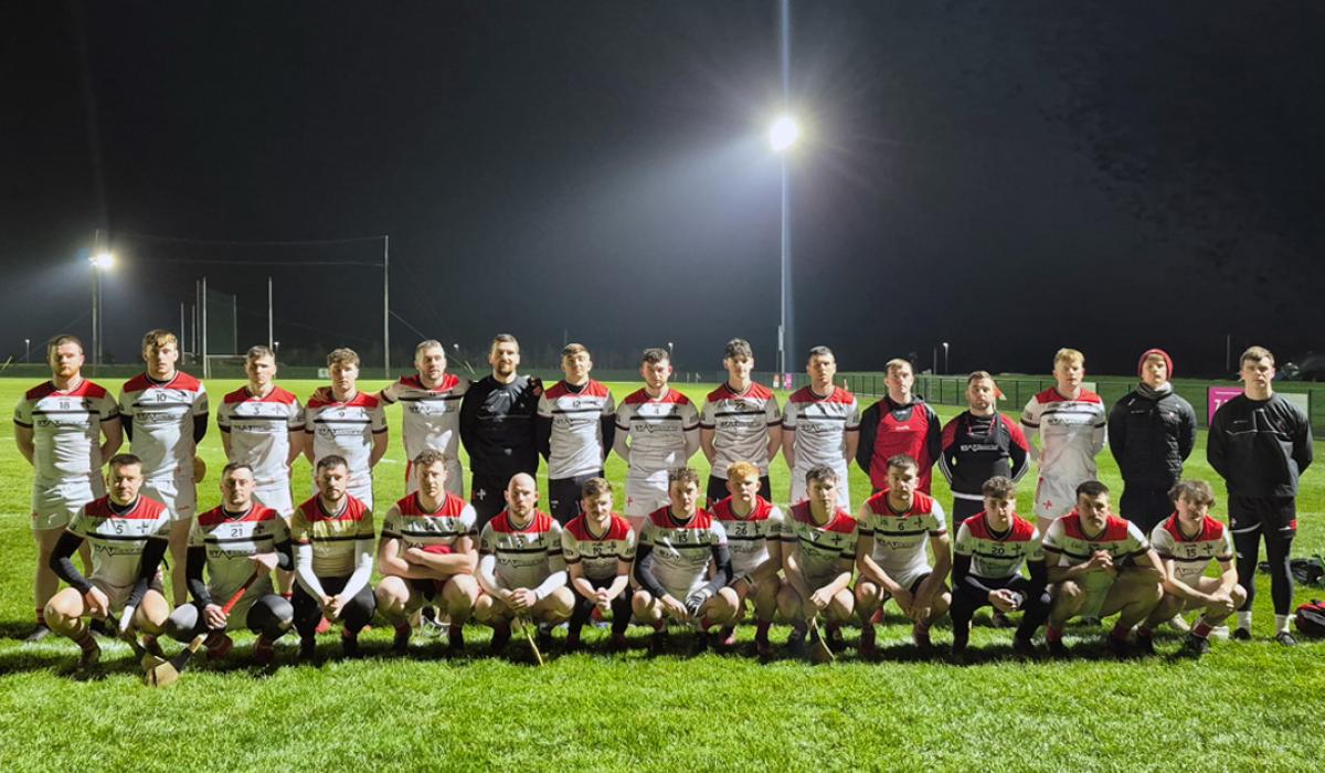 Louth hurlers fall to defeat against the Mournemen