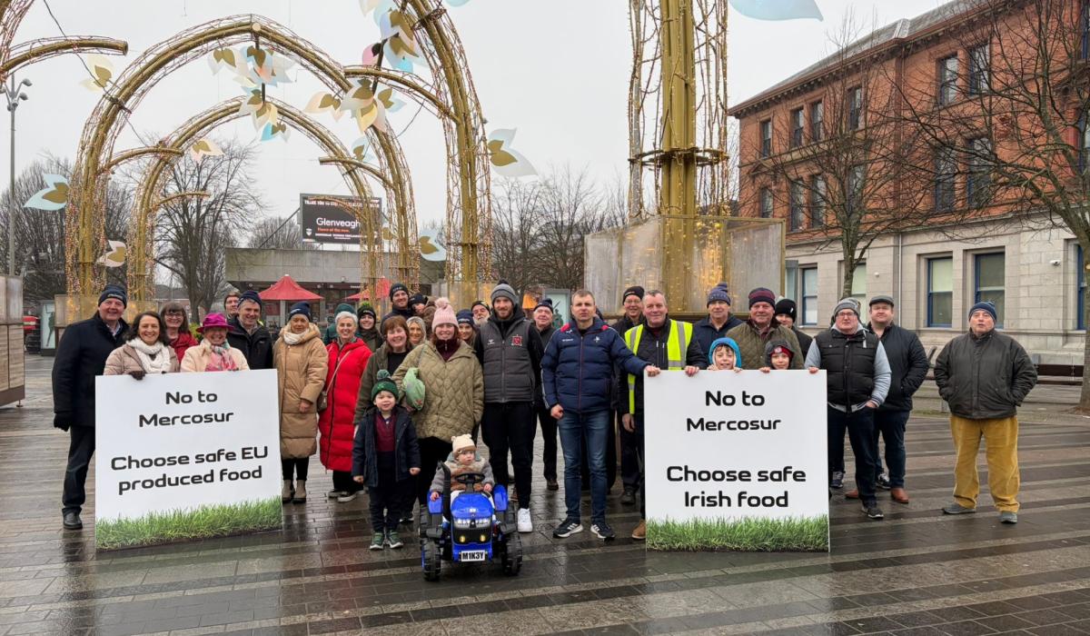 Mercosur deal 'bad for health and bad for Irish farming' Louth TD tells farmers