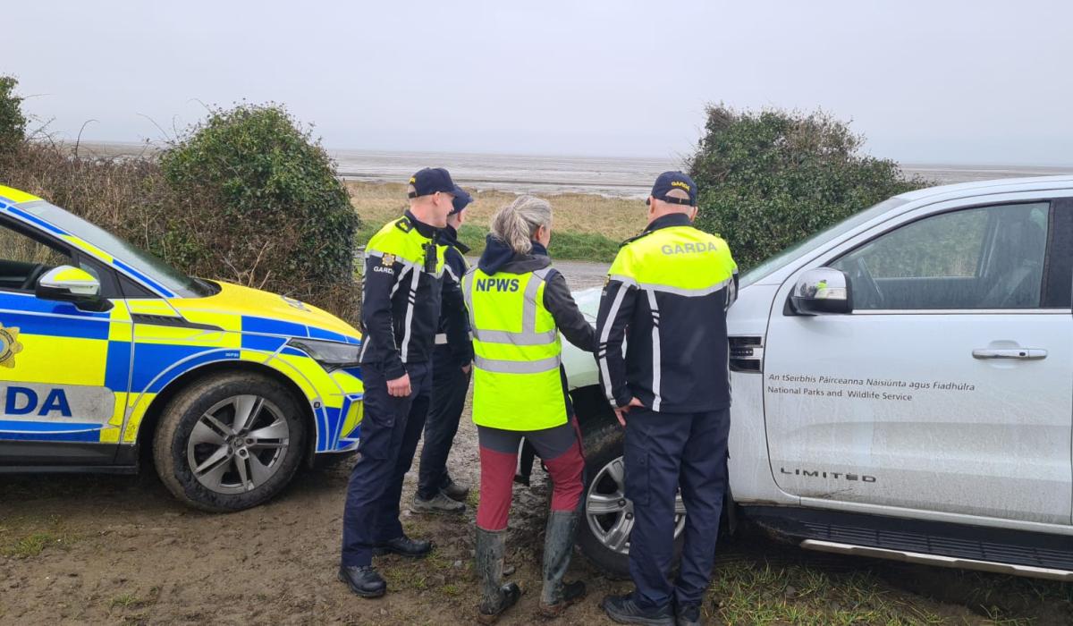 Louth Gardaí tackle illegal hare hunting with recent seizures