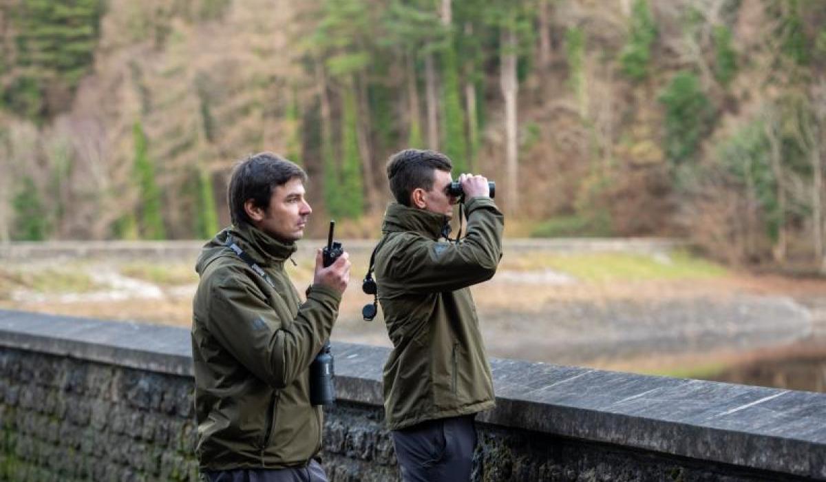 IFI launches new recruitment drive for seasonal posts in Louth