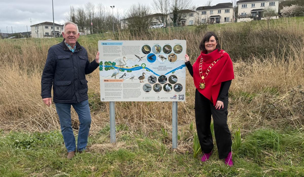 New Biodiversity Panels Installed Along the Boyne Greenway