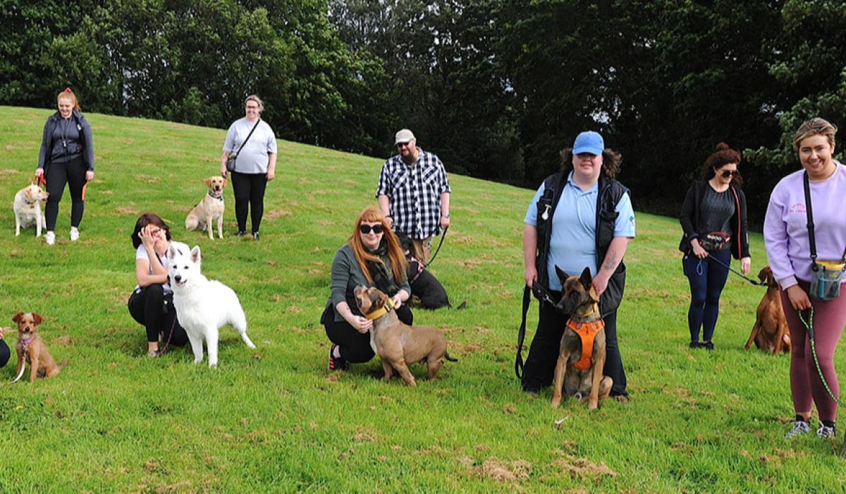 Puppy love as Irish Kennel Club comes to Dundalk Louth Live