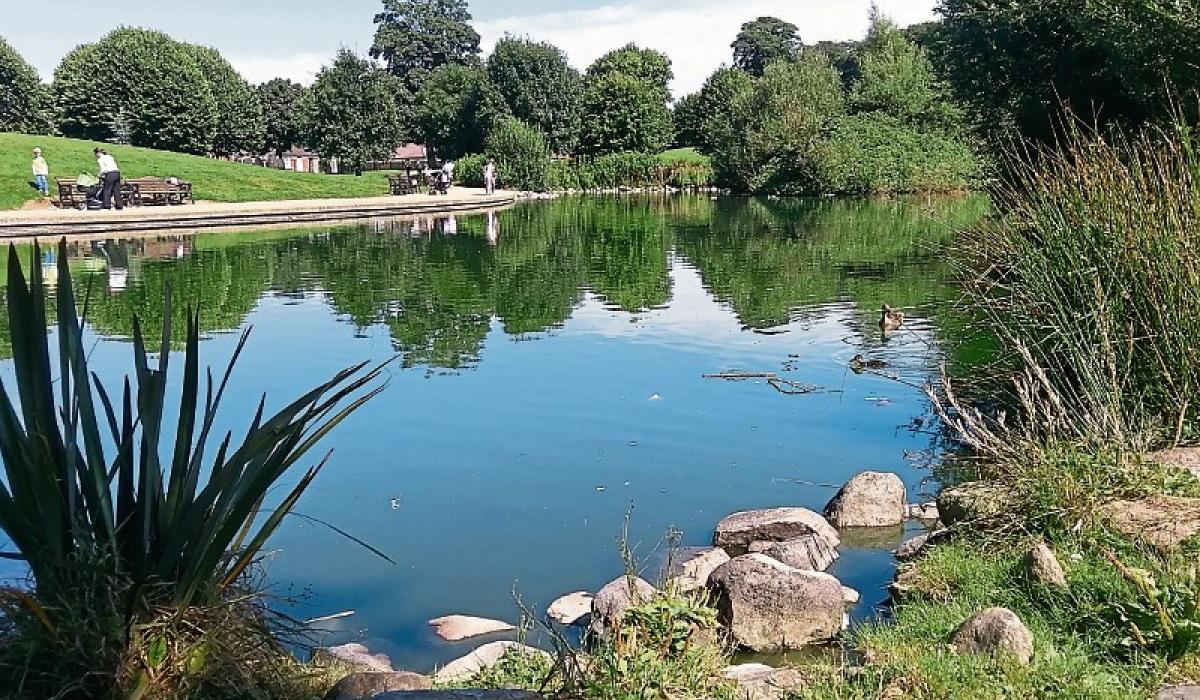 Four parks in Louth win An Taisce Green Flag awards Louth Live