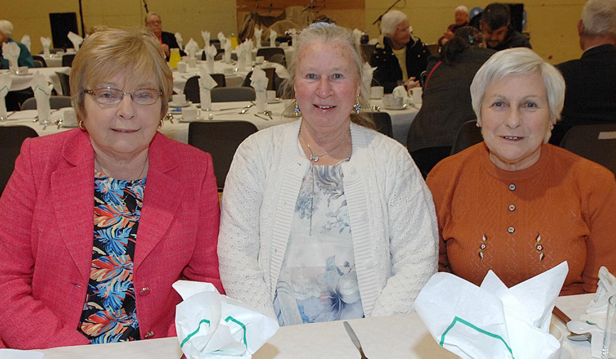 PHOTOS Redeemer community senior citizens party in Dundalk Page 1 of