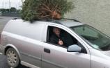 Record 241 Christmas trees shredded by Blackrock Tidy Towns