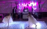 Dundalk twins go viral with wedding dance video 