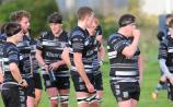 Dundalk RFC look set to earn Leinster League Division 1A reprieve