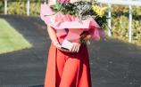 Get your glad rags on for Dundalk Stadium Virtual Ladies Day