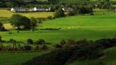 Land prices continue to rise in Louth as demand stays strong