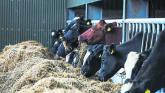 Over €2.4m for Louth farmers under the Eco-Scheme