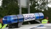 Gardai and emergency services attend scene of crash in Dundalk