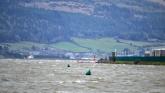 EPA report reveals algae-choked bays and estuaries in ‘poor’ condition in Louth