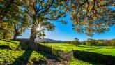 Almost €2.5mil in Louth eco scheme payments