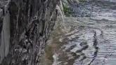 Flooding at the Castletown River in Dundalk. Video Credit: Dundalk Photos Flooding at the Castletown River in Dundalk. Video Credit: Dundalk Photos