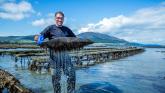 Carlingford Oyster Company nominated for SFA National Small Business Awards
