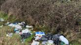 Louth County Council told to 'make an example of someone' to curb dumping on Racecourse Road