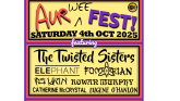 Aur (Wee) Fest storms into Toales Live Venue tomorrow night