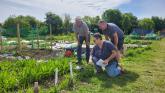 Tour at community garden in Dundalk to mark National Community Gardens week