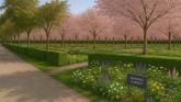 Louth County Council announces plans for memorial trees at Railway Lands in Ardee