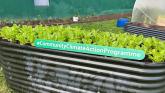 Over €600k for climate action projects in Louth