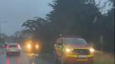 VIDEO: Louth Fire & Rescue tend to fallen tree during Strom Chandra