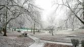 Louth Weather: Frost and ice slow to clear this morning