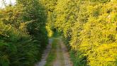 Boyne Valley Trails September Walking Festival returns to Louth