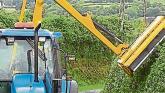 Appeal to landowners in Louth to cut overgrown hedges