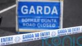 Driver killed as car hits tree in Co Kerry