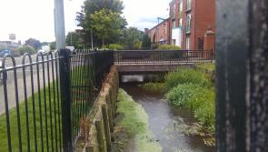 Worrying fish kill reported along Ramparts