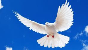 Death Notices Dundalk - Thursday October 6th