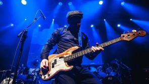 Johnny 'D' Fox is still Dundalk's busiest musician