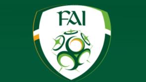 FAI's announcement of equal pay for women’s and men’s teams  welcomed by Louth senator