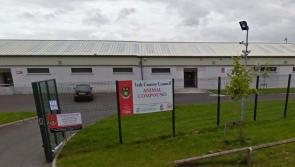 Muirhevnamor 'devil dog' thought to responsible for attacks on pedestrians has been impounded 