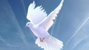 Deaths in Dundalk - December 2, 2016