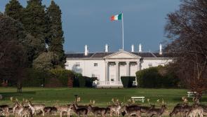 Six presidential hopefuls to meet Louth County Council next week