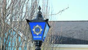 Man arrested in connection with the seizure of €225,000 cannabis in Louth last month