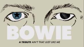 Louth musicians lead Bowie tribute