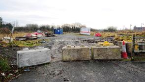 Former town councilor condemns 'butchering' of 'town centre forest park' to make way for new school