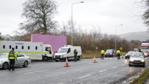 Gardai swoop in immigration operation in Dundalk