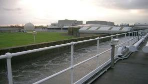 Dundalk at the centre of an EU Investigation into Irish Water Pollution