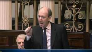 Shane Ross calls Louth TD a donkey during Dáil debate