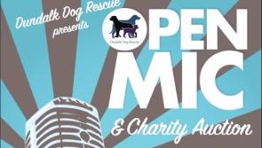 Open Mic Night in aid of Dundalk Dog Rescue
